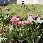 Telfer Treasure: Unkomplizierter Familienurlaub Tatil Evi Telfs