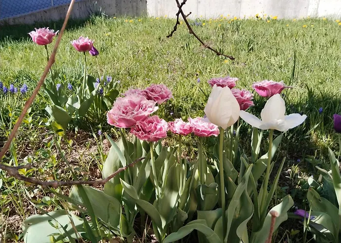 Telfer Treasure: Unkomplizierter Familienurlaub Ferienhaus Telfs