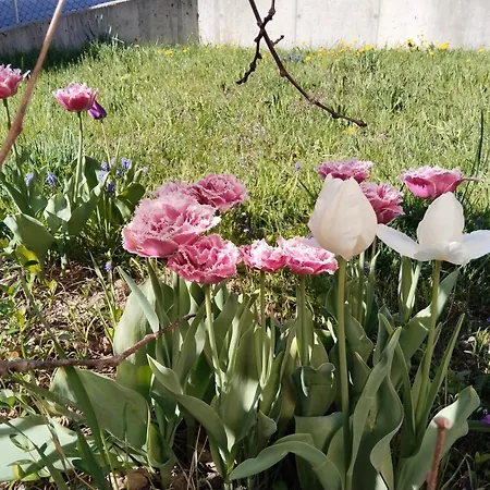 Telfer Treasure: Unkomplizierter Familienurlaub Casa vacanze Telfs