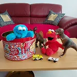 Telfer Treasure: Unkomplizierter Familienurlaub 別荘